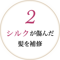 2 シルクが傷んだ髪を補修