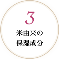 3 米由来の保湿成分